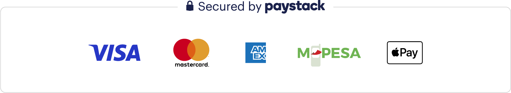 Paystack Payment Options